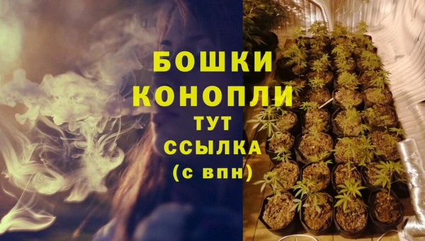 не бодяженный Заводоуковск