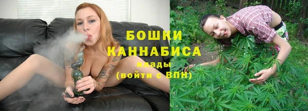 не бодяженный Заводоуковск