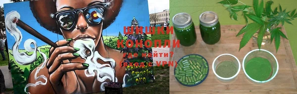 не бодяженный Заводоуковск