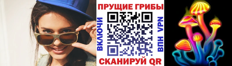 blacksprut ссылки  Октябрьский  Галлюциногенные грибы Psilocybe  как найти закладки 